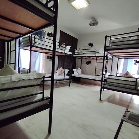 A Sleepy Fox Hostel New Delhi Exterior foto
